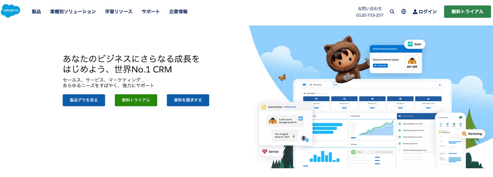 「Salesforce」のカスタマーサクセス事例